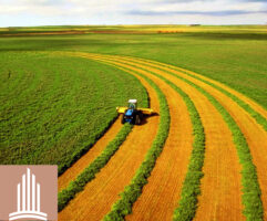 Новый рынок – рынок земли